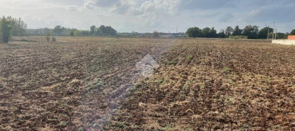 Terreno en Piedimonte San Germano, Italy 25946 m² No. 159803 5