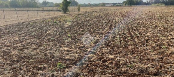 Terreno en Piedimonte San Germano, Italy 25946 m² No. 159803 9