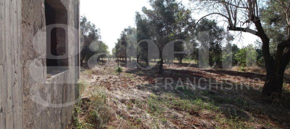 4 chambres Villa à Manduria, Italy No. 344088 2