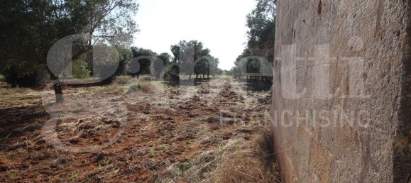 4 chambres Villa à Manduria, Italy No. 344088 7