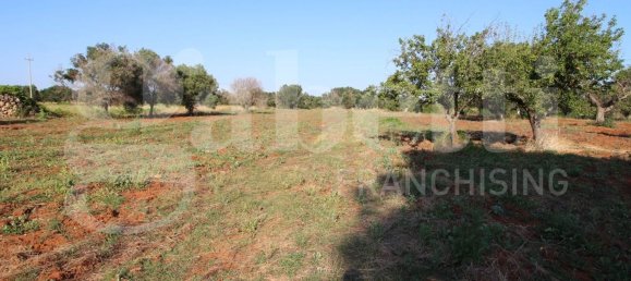 4 chambres Villa à Manduria, Italy No. 344088 3