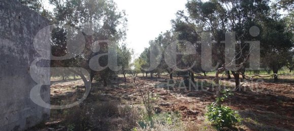 4 chambres Villa à Manduria, Italy No. 344088 8