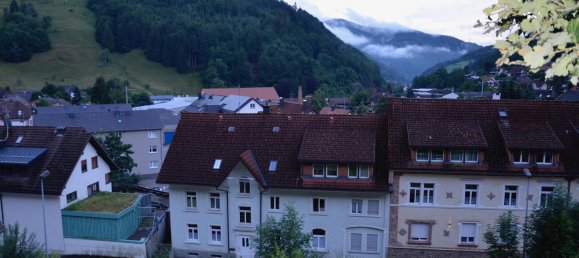  قطعة أرض في Lorrach, Germany 1461متر مربع رقم 821 2