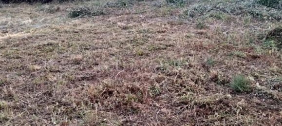 Land in Messina, Italy No. 339363 33