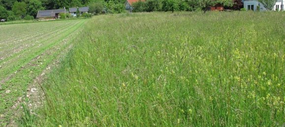 Земельный участок 1625м² в Altotting, Германия № 144051 10