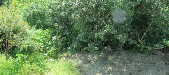 Земельный участок 1625м² в Altotting, Германия № 144051 7