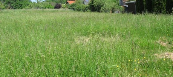 Земельный участок 1625м² в Altotting, Германия № 144051 6