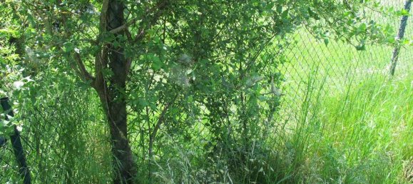 Земельный участок 1625м² в Altotting, Германия № 144051 9