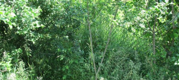 Земельный участок 1625м² в Altotting, Германия № 144051 8