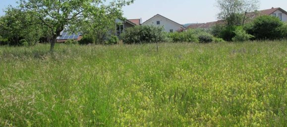 Земельный участок 1625м² в Altotting, Германия № 144051 12