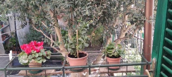 4 rooms Apartment in San Miniato, Italy No. 70379 13