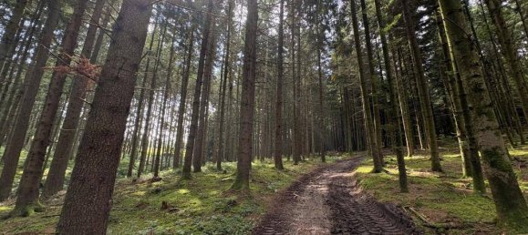 Terreno en Gurten, Austria 90815 m² No. 195400 3