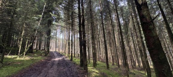 Terreno en Gurten, Austria 90815 m² No. 195400 4