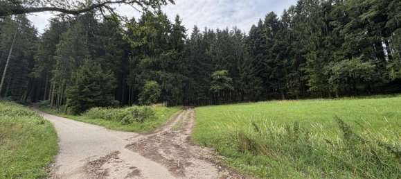 Terreno en Gurten, Austria 90815 m² No. 195400 2