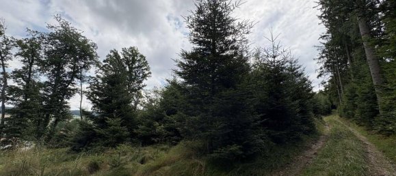 Terreno en Gurten, Austria 90815 m² No. 195400 8