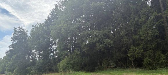 Terreno en Gurten, Austria 90815 m² No. 195400 7