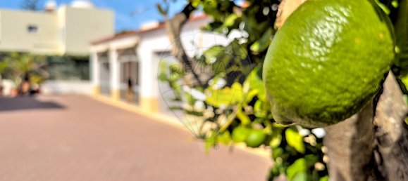 Casa de 3 dormitorios en Albufeira, Portugal No. 21891 33