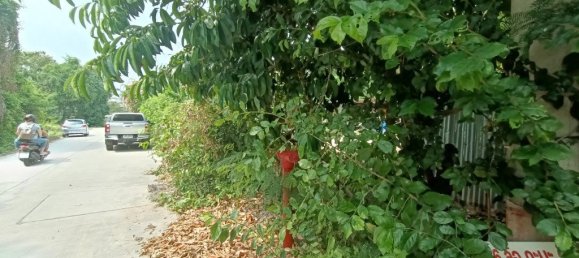  Commercial property in Pattaya, Thailand No. 375 4