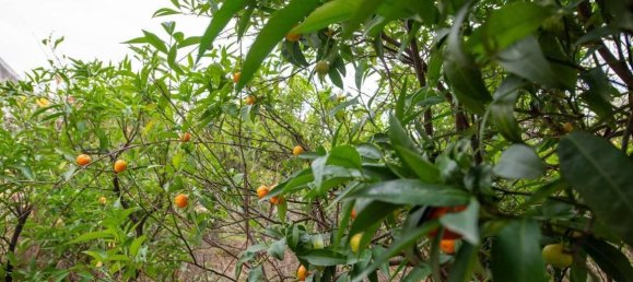 Casa de 33 habitaciónes en Barletta, Italy No. 176098 13