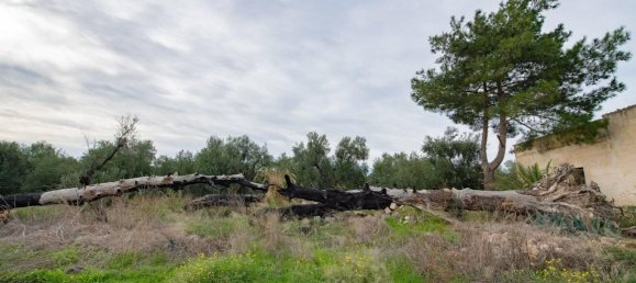 Casa de 33 habitaciónes en Barletta, Italy No. 176098 28