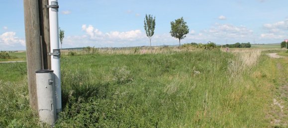 Grundstück in Leitzersdorf, Austria 620m², Nr. 143437 5