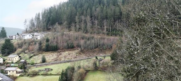 Grundstück in Calw, Germany, Nr. 45593 7