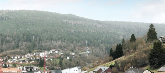 Grundstück in Calw, Germany, Nr. 45593 4