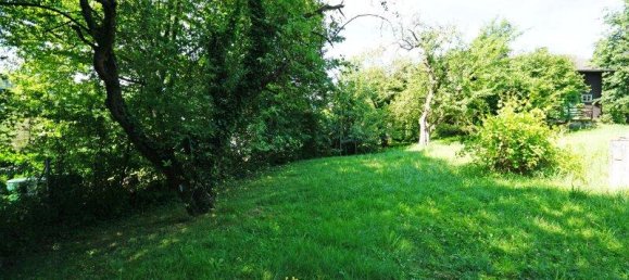 Terreno de 3 divisões em Gablitz, Austria N.º 46559 6