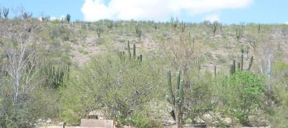 Terreno em La Paz, Mexico N.º 105527 2