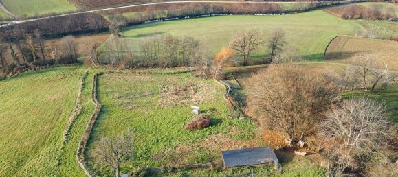 2-Zimmer Schlösser in Hofstätten an der Raab, Austria, Nr. 18588 4