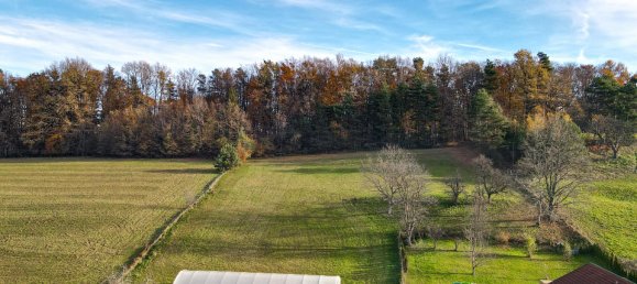 2-Zimmer Schlösser in Hofstätten an der Raab, Austria, Nr. 18588 5