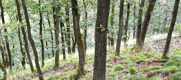 Terreno en Euskirchen, Germany 61970 m² No. 172659 3