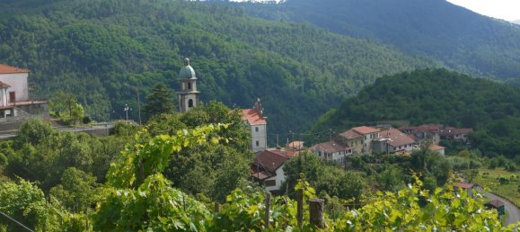 5 rooms Apartment in Rocchetta di Vara, Italy No. 267543 34