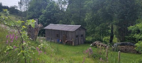 8غرفة منزل في Rohrbach, Austria رقم 178711 23