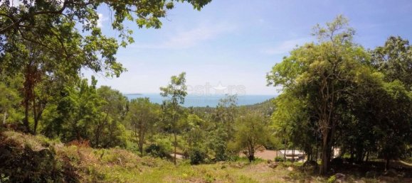  Commercial property in Ko Samui, Thailand No. 7600 2