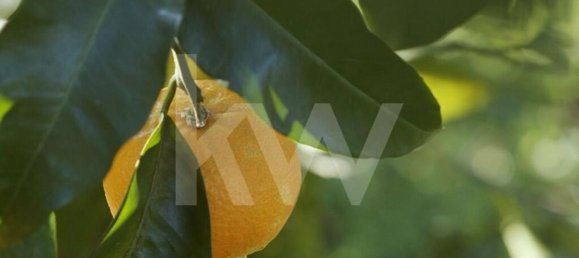 Дом с 4 спальнями в Гондомар, Португалия № 59305 17