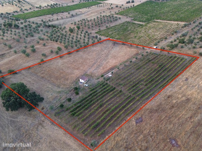 Grundstück in Vila Ruiva, Portugal 13000m², Nr. 269435