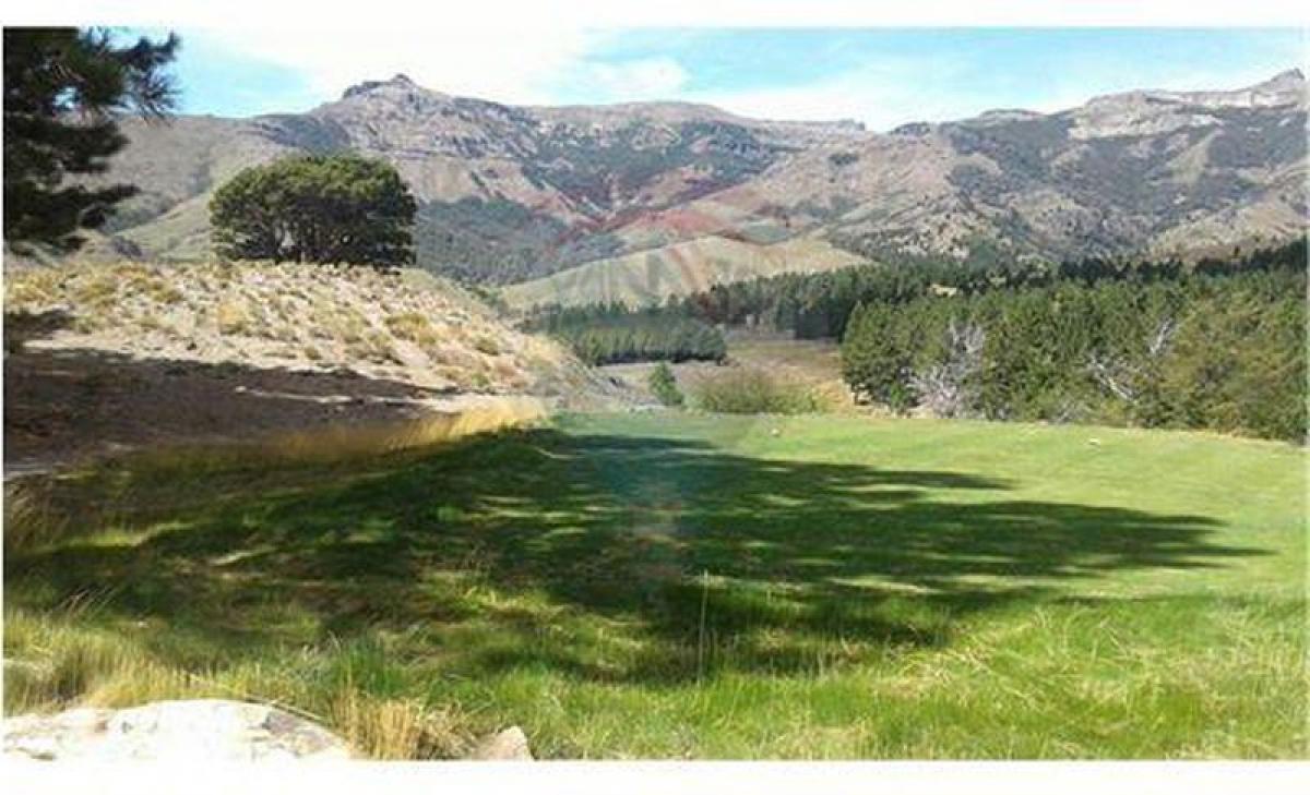  Land in Neuquen, Argentina No. 48093