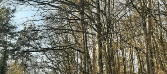 Земельный участок в Вюрцбург, Германия № 267785 5