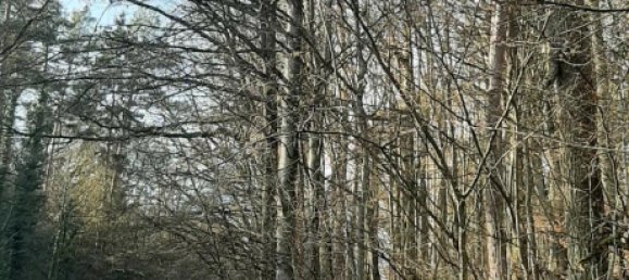 Земельный участок в Вюрцбург, Германия № 267785 3