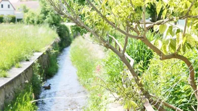 Grundstück in Mariasdorf, Austria, Nr. 194912