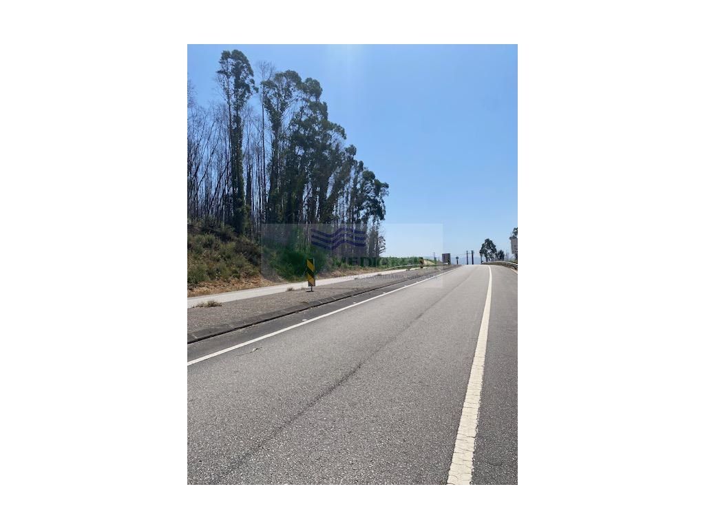 Grundstück in Sever do Vouga, Portugal 25360m², Nr. 245841