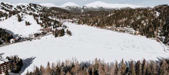  Land in Reichenau, Austria No. 253912 7