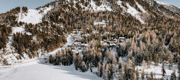  Land in Reichenau, Austria No. 253912 6