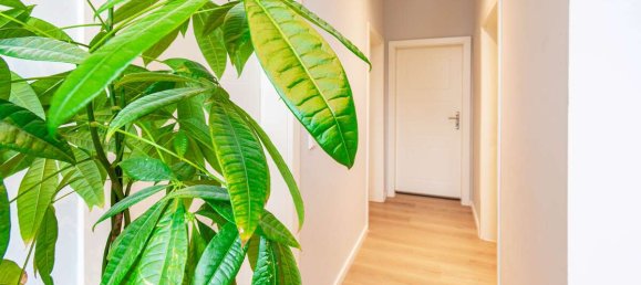 6 Schlafzimmer Haus in Solingen, Germany, Nr. 33529 20