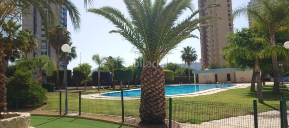 Apartamento de 3 dormitorios en Benidorm, Spain No. 168390 12