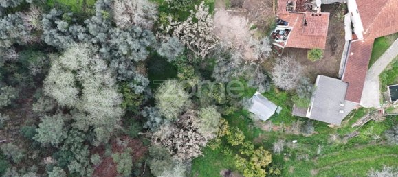 3 bedrooms House in Miranda do Corvo, Portugal No. 85708 6