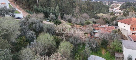 3 bedrooms House in Miranda do Corvo, Portugal No. 85708 11