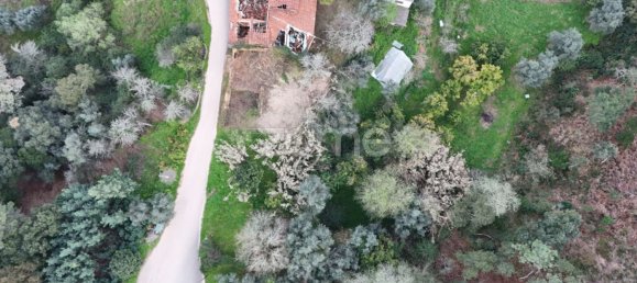 3 bedrooms House in Miranda do Corvo, Portugal No. 85708 14