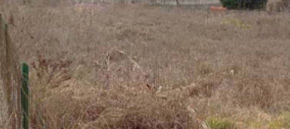 1891m² Land in Mantua, Italy No. 364582 3